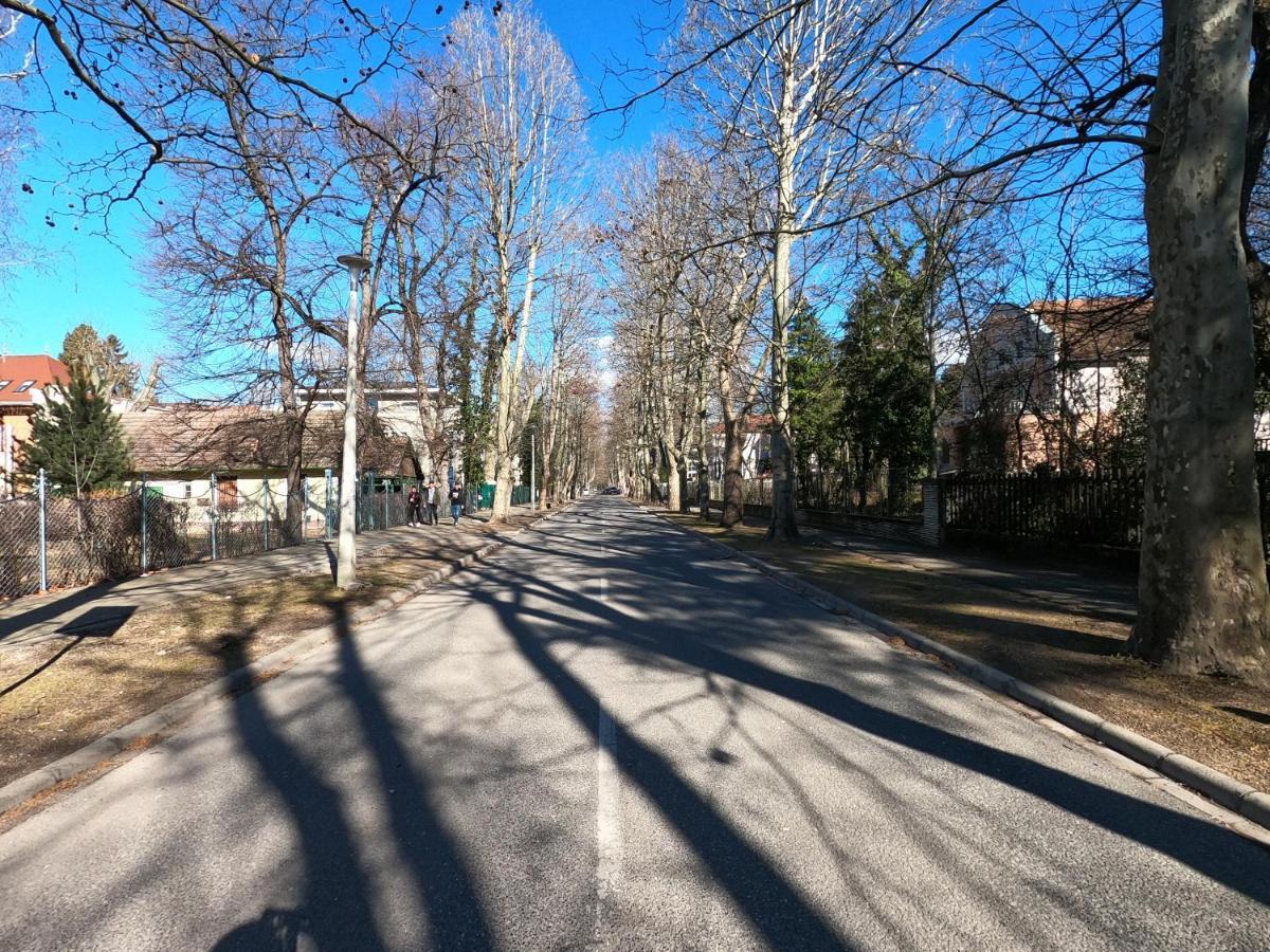 Gosztonyi Villa Siofok Luaran gambar